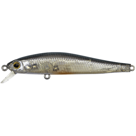 bolw-525885