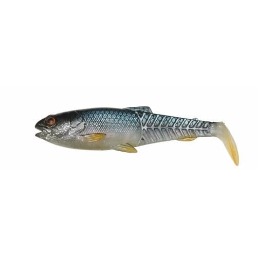 bolw-526568