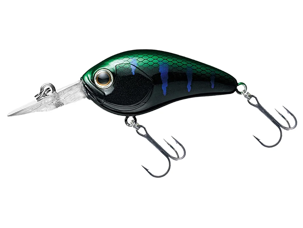 fishing-mart-509401