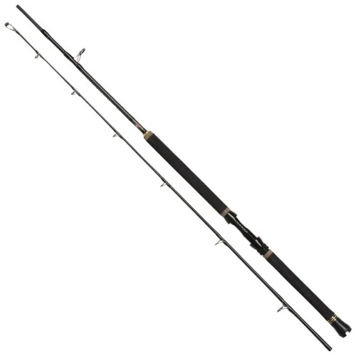 glowatka1-593278