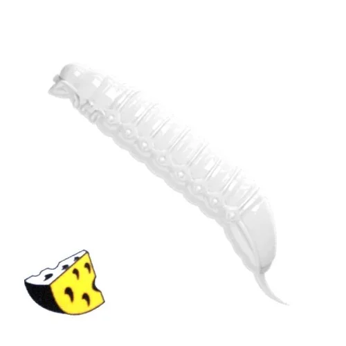 glowatka1-631631