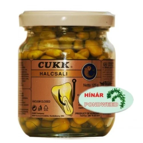 glowatka1-634038