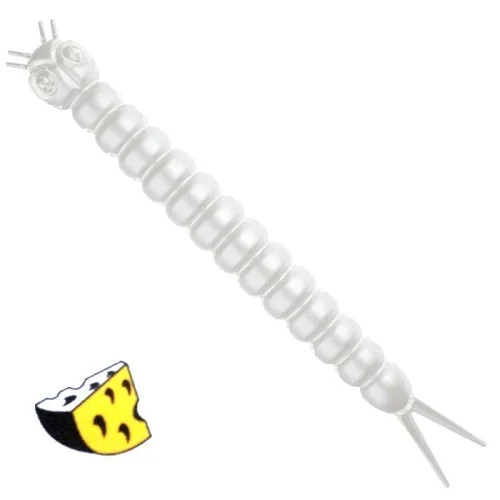 glowatka2-574799