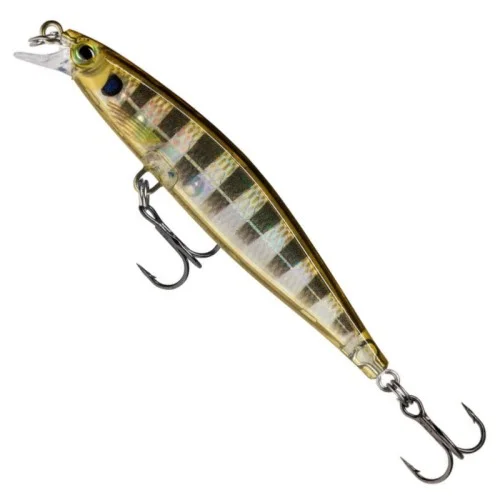 glowatka2-611731