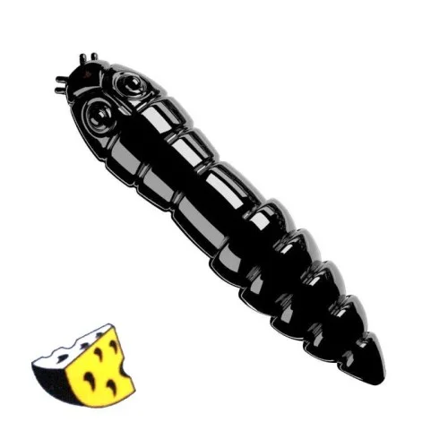 glowatka2-613111
