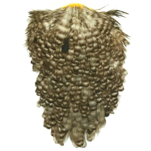 glowatka2-614962