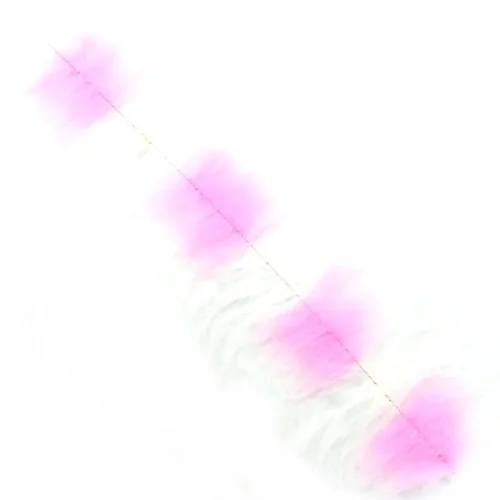 glowatka2-624561