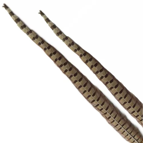 glowatka2-625729