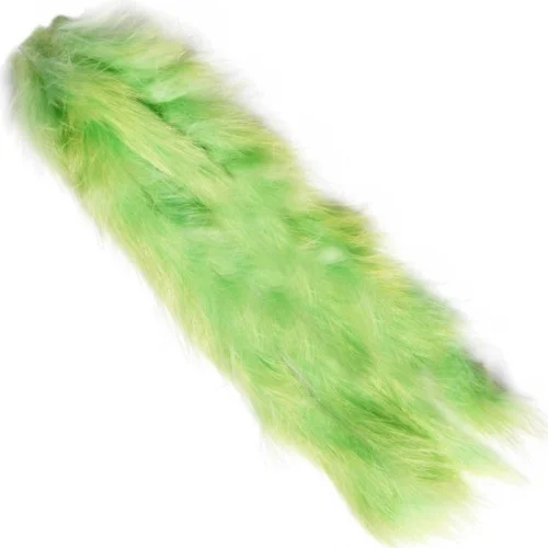 glowatka2-627873