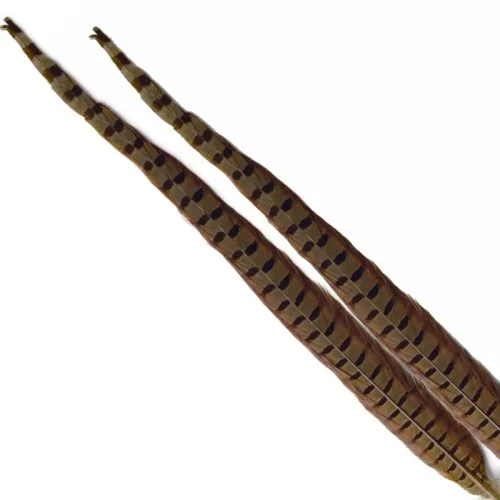 glowatka2-627925