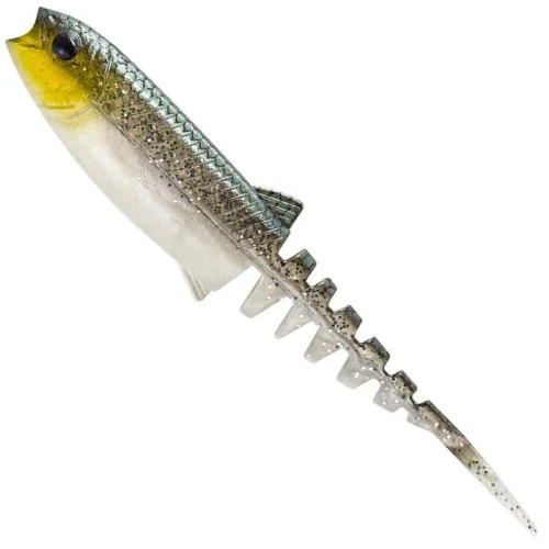 glowatka2-629255