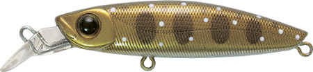 krokodyl1-571776