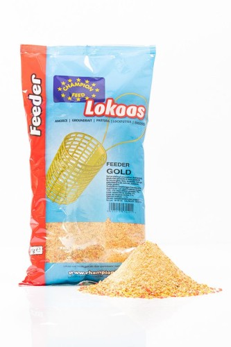 krokodyl1-574282