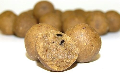 krokodyl1-575346