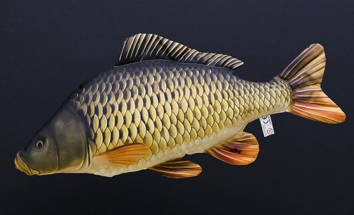 krokodyl1-577960