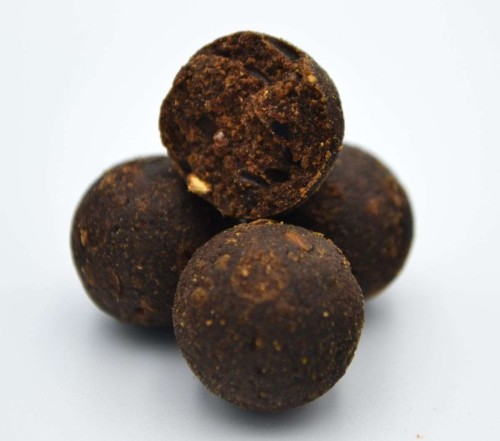 krokodyl1-578024