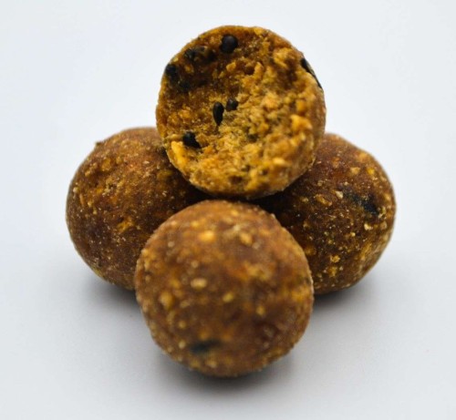 krokodyl1-578052