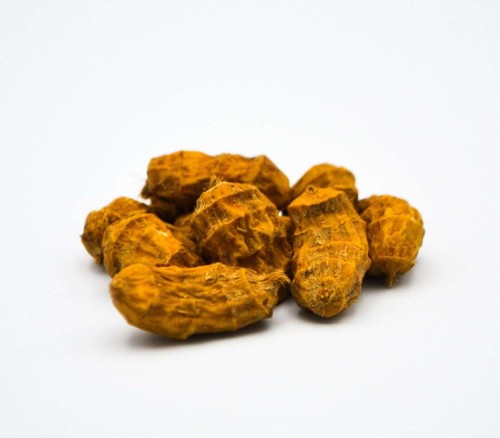 krokodyl1-578070