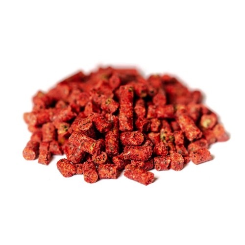 krokodyl1-578071
