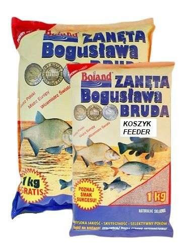 krokodyl1-578460