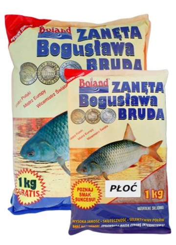 krokodyl1-578522