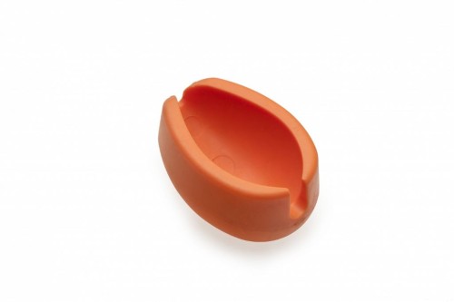 krokodyl1-584703