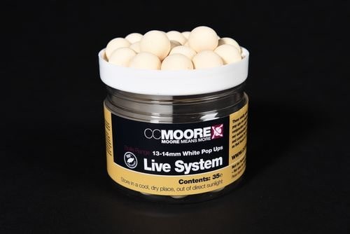 krokodyl1-589391