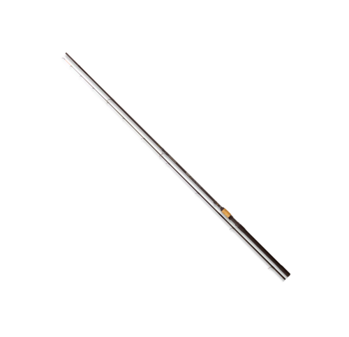 krokodyl1-593564