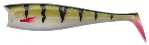 krokodyl1-593689