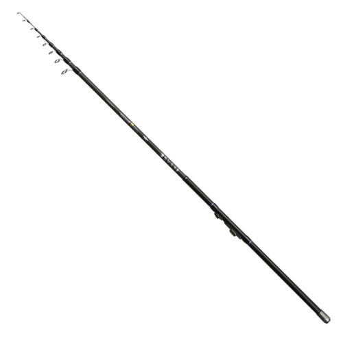 krokodyl1-604030