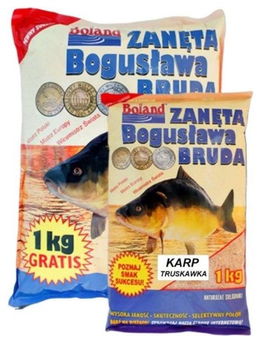 krokodyl1-604799