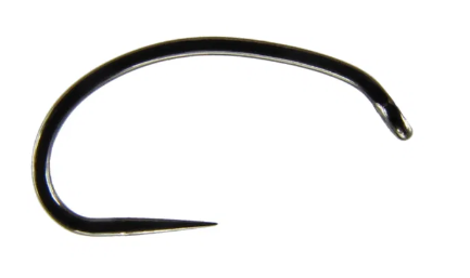krokodyl1-609480