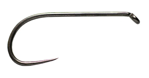 krokodyl1-609588