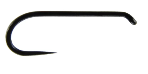 krokodyl1-609601