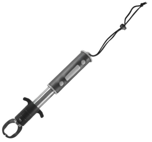krokodyl1-610748