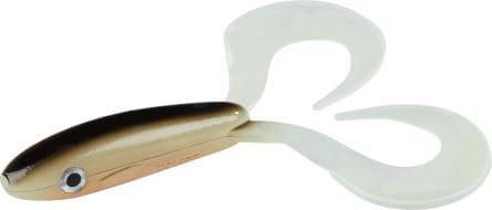 krokodyl1-612049