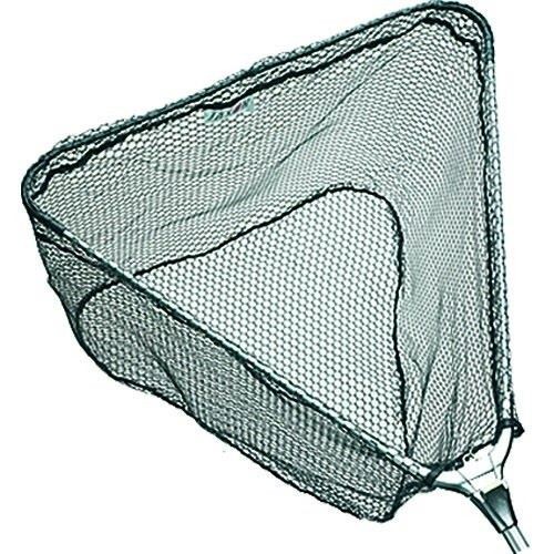 krokodyl1-613073