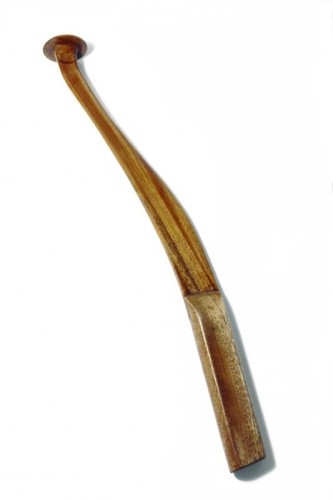 krokodyl1-614224