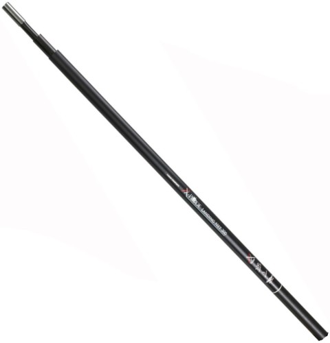 krokodyl1-615478