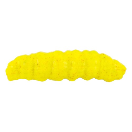 krokodyl1-615930