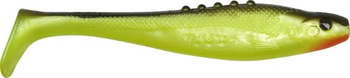 krokodyl1-616260