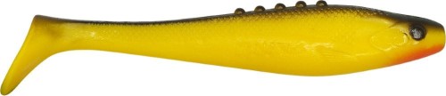 krokodyl1-616296
