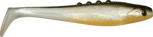 krokodyl1-616301