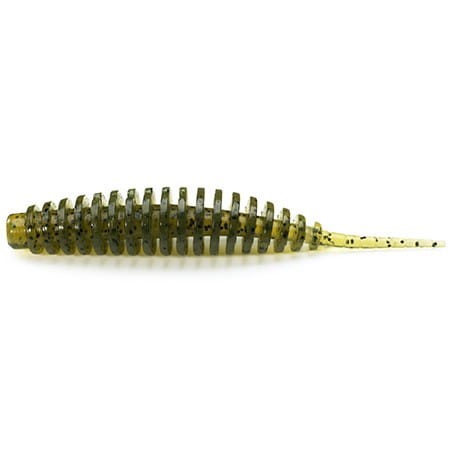 krokodyl1-617325