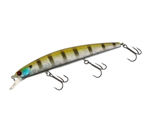 krokodyl1-617656
