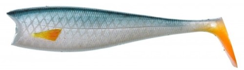 krokodyl1-618230