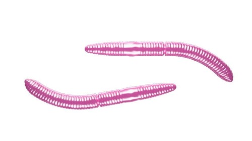 krokodyl1-618375