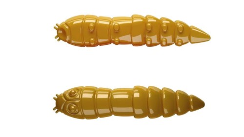 krokodyl1-618544