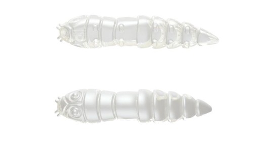 krokodyl1-618547