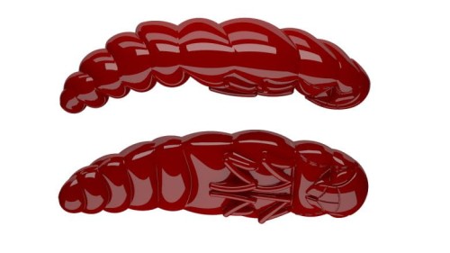 krokodyl1-618698